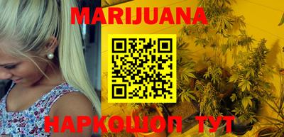 индика Аргун