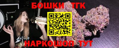 индика Аргун