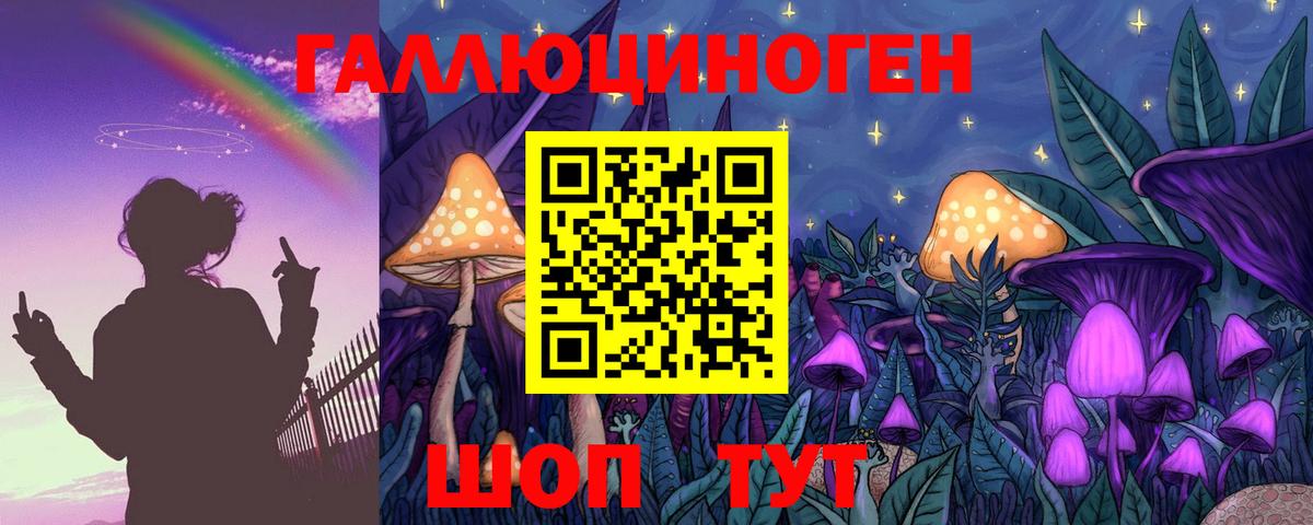 Железноводск  закладка  Вход с VPN  Псилоцибиновые грибы Psilocybine cubensis  Галлюциногенные грибы Cubensis 